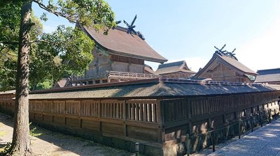 ⛩️ 이즈모타이샤 본전(고혼덴) 이미지 2